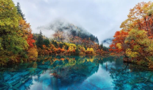 四川·夕阳红全景八日游