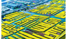 江南（扬州瘦西湖+李中水上森林+兴化千垛油菜花+东关街+夜游凤城河）二日游