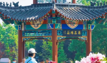 繁花洛阳三日游