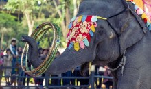 西双版纳乘风破浪五日深度游