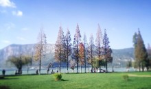 慵懒沙溪昆明大理丽江双飞双动六日游